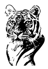 Black and white tiger portrait vector illustration