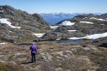 Fototapeta premium Mountain hike to Mofjellet in Northern Norway
