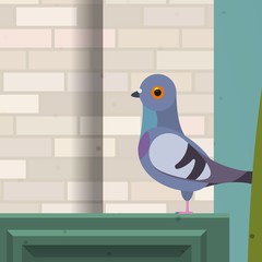 Cute cartoon flat bird pigeon. Vector illustration