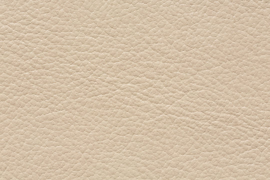 Light leather background with clean surface.