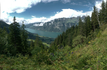 Walensee on a Rainy Day, shot from Flumsergberg