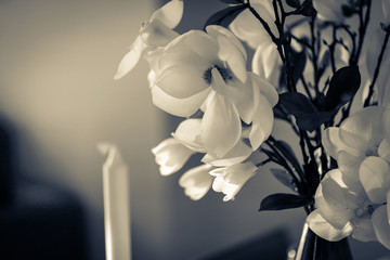 white flower in vase filter color effect with free copy space