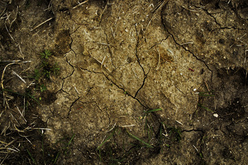 Dry cracked soil texture and background. Abstract ground. Natural abstraction. Grass. Nature background