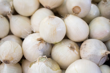 White onions at fresh food market, Harvesting white bio onions background - 204784444