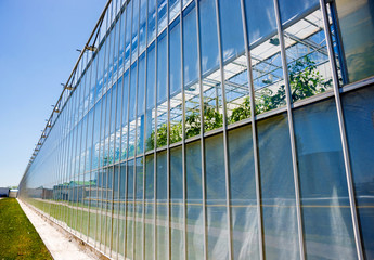 Plakat Modern glass greenhouses against the blue sky.