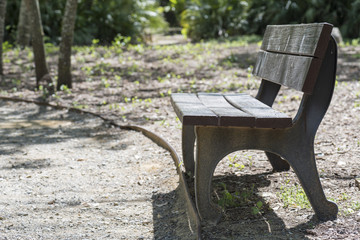 Banco de madera en un tranquilo parque público