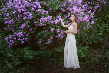 Young woman in a beautiful dress is standing near a lilac bush.