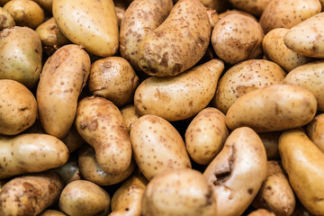 organic potato homegrown in basket at department store