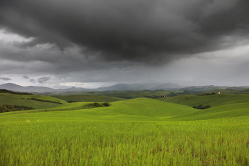 Summer landscape in Tuscany, Italy, Europe