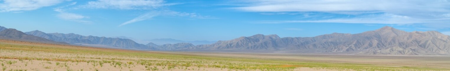 Fototapeta premium Flowering desert, Atacama Chile
