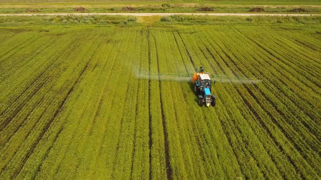 Aerial view tractor spraying the chemicals on the large green field. Spraying the herbicides on the farm land. Treatment of crops against weeds. 4K, aerial footage.