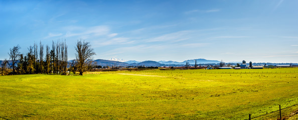 Panorama of the Farmland near the Matsqui Dyke at the towns of Abbotsford and Mission in British Columbia, Canada with Mount Baker in the background