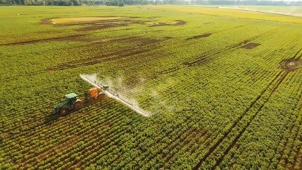 Aerial view tractor spraying the chemicals on the large green field. Spraying the herbicides on the farm land. Treatment of crops against weeds. 4K, aerial footage. - Powered by Adobe