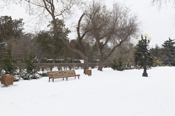 Winter landscape in Shakaevsky garden of Evpatoria, Crimea