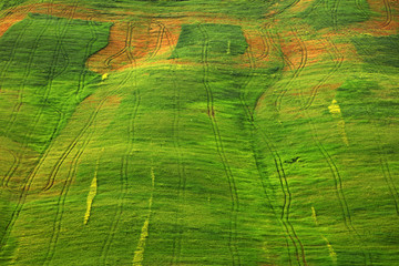 Summer landscape in Tuscany, Italy, Europe