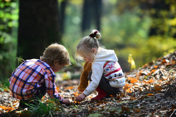 Little boy and girl friends have fun on fresh air. Children pick acorns from oak trees. Brother and sister camping in autumn forest. Childhood and child friendship. Kids activity and active rest © Volodymyr