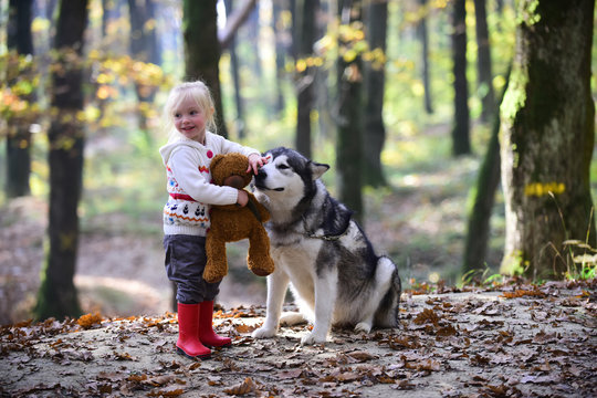 Friends child and husky play on fresh air in woods outdoor. Friends girl and dog play in autumn forest