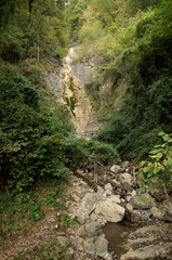 Seasonal waterfall on exposed outcrop in woods near Quinten, Swiss Alps