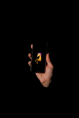 Unicorn - a mythical being symbolizing integrity © dmytrobandak