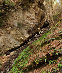 Rivulet in the woods above the Berschnerfall, Walenstadt, Swiss Alps