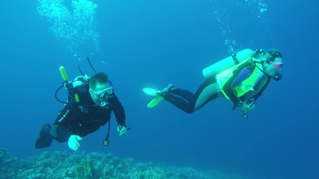 zwei Taucher schweben &uuml;ber das Korallenriff