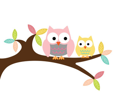 Owl mom two and baby sitting on the branch on a white background