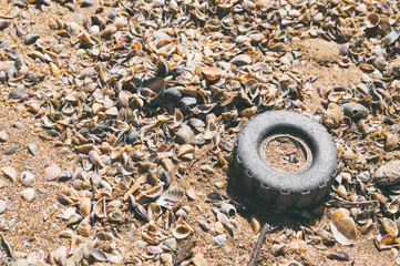 Fototapeta premium Plastic wheel from a toy on seashore in the sand