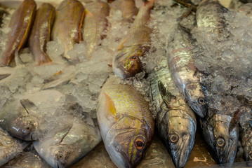 Heap of colorful fresh fish at the Singapore wet market in China Town - 1