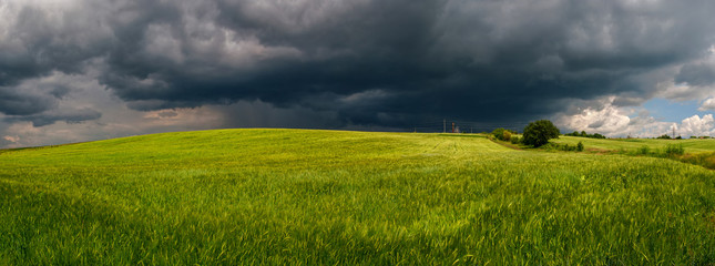 Fototapeta premium Summer thunderstorm in a wheat field
