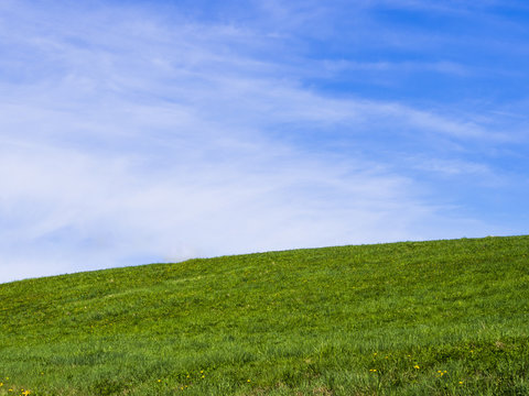 Rolling hill green hill, with dreamy clouds and blue sky in the background. Looks similar to the legendary default wallpaper in an old operating system. What a bliss to behold.. 