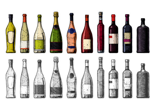 Fototapeta Types of Wine Bottles