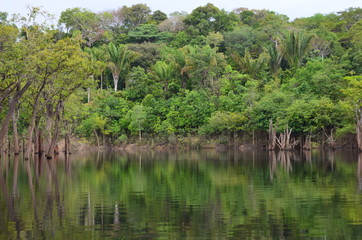 Brazil Amazon river, 2016