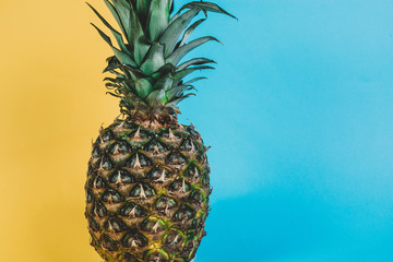 Fashion Pineapple. Summer Color. Tropical Fruit on retro style and toned colors. Minimalist style. Creative Art concept. Pineapple on pink, yellow and blue pastel colors.