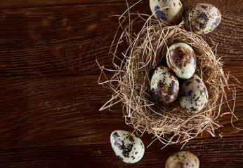 Conceptual still-life with quail eggs in hay nest over dark wooden background, close up, selective focus