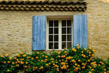 Façade d'une maison provençale avec des rosiers jaunes. France.	