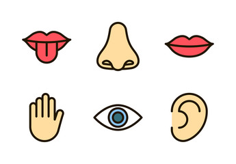 Outline color icon set of five human senses: vision (eye), smell (nose), hearing (ear), touch (hand), taste (mouth with tongue). Simple line icons. Editable stroke. Vector illustration, eps10.