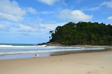 Itacare Brazil, 2016