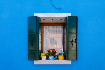Window with flowers on a blue wall in Burano near Venice.