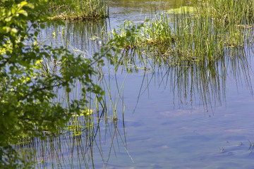 water on the lake on a summer