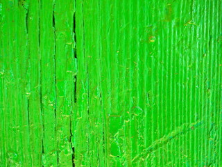 Texture of a wooden green surface, abstract green background of a dyed wood, colored natural pattern for a designer, minimalistic background