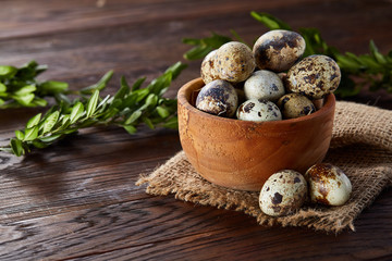 Rural still life with bowl full of eggs quail, eggs on a homespun napkin, boxwood on wooden background, top view