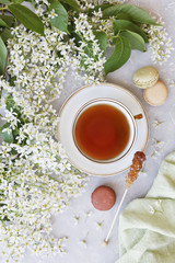 Close-up of hot cup of tea with sweet macaroons surrounded by beautiful white flowering apple tree...