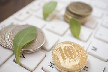 Tree growing on a computer keyboard / Green IT and Computing, business concept, growth