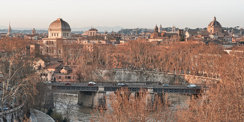 View of Rome roofs: jewish synagogue, Tiber island and Tiber river and church domes