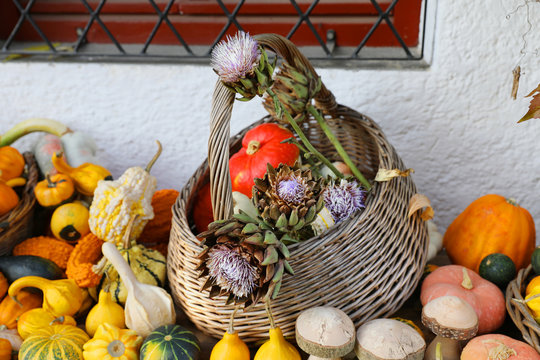 Fall pumpkins