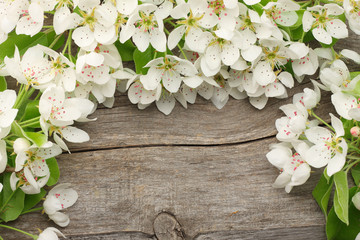 white cherry blossoms on old wooden background. top view