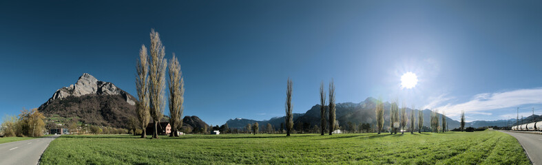 Spring poplars; open meadows in the Swiss Rheintal near Sargans
