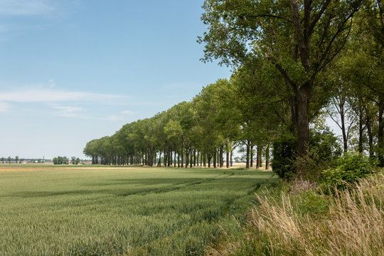 The Polish provincial road No. 407, the section between the village of Stara Jamka and the village of Pog&oacute;rze in the Prudnik county in the Biała commune.