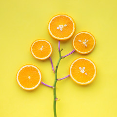 Summer concept with orange slice on yellow