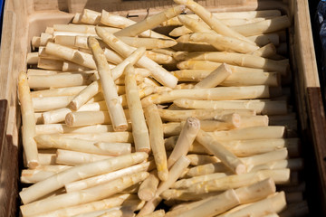 crate of fresh white asparagus on a market